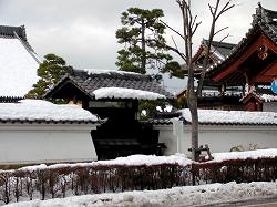 20051211amenomori (12).jpg